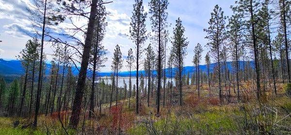 Lake Rogers Montana Photography Art | InYourBackyard