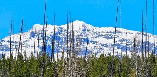 Livingston Range   Parke Peak Photography Art | InYourBackyard