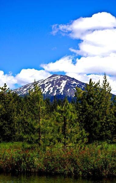 Mt. Bachelor Through The Trees Photography Art | InYourBackyard