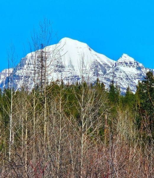 Mount Robson In The Canadian Rockies Photography Art | InYourBackyard