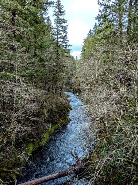 Molalla River Scenic Landscape Photography Art | InYourBackyard