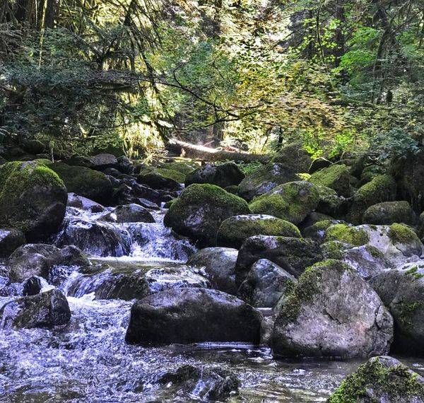 Molalla River Falls Photography Art | InYourBackyard
