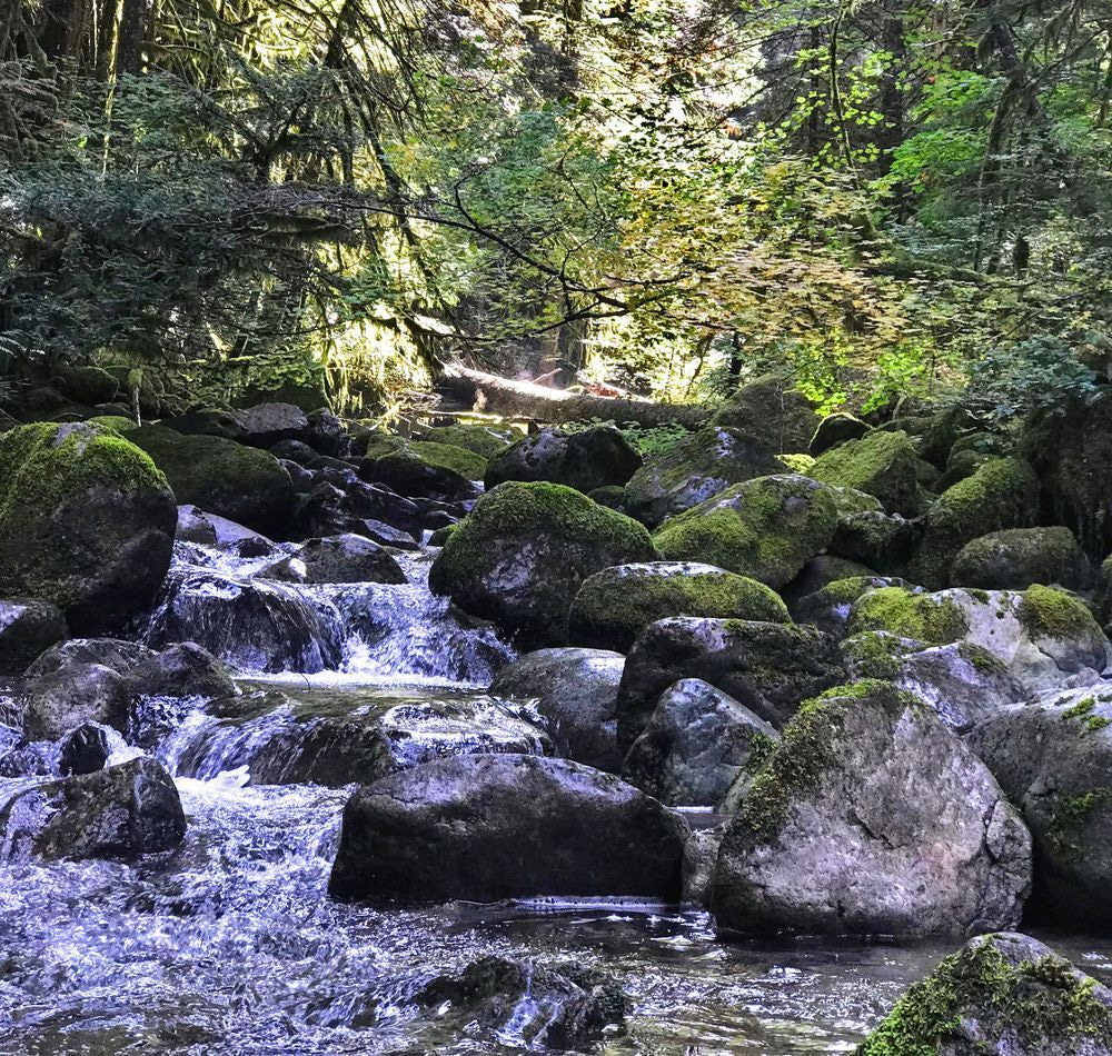 Molalla River Falls Photography Art | InYourBackyard