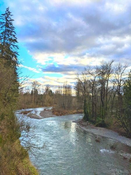 Molalla River Landscape Photography Art | InYourBackyard
