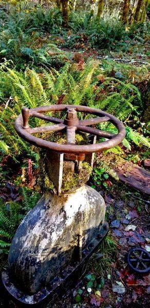 Moss Covered Industrial Gate Valve And Wheel 2 Photography Art | InYourBackyard