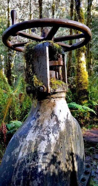 Moss Covered Industrial Gate Valve And Wheel Photography Art | InYourBackyard