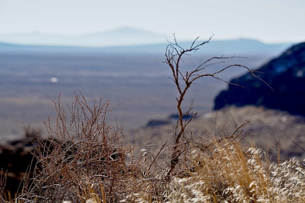 Brushy Shadows Of Fort Rock Photography Art | InYourBackyard