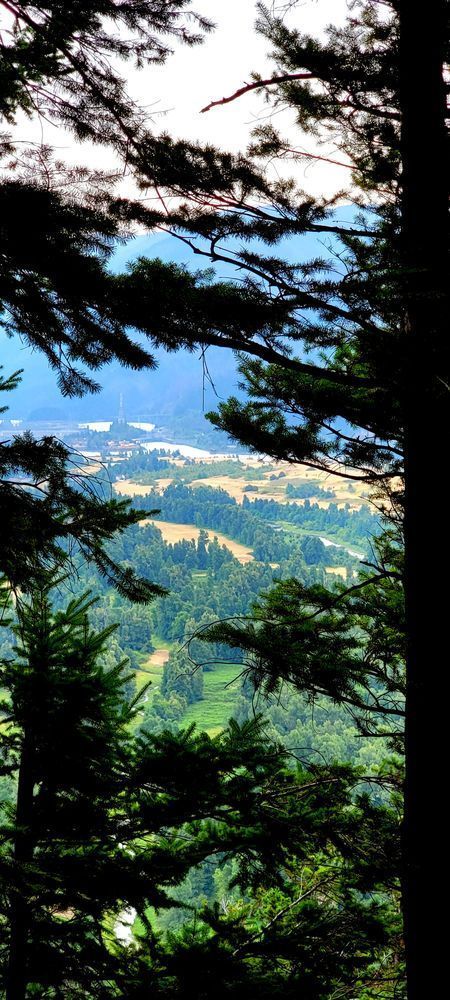 Beacon Rock View Through The Trees Photography Art | InYourBackyard