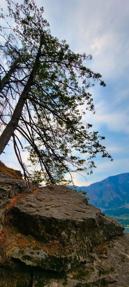 Beacon Rock Resting Spot Photography Art | InYourBackyard