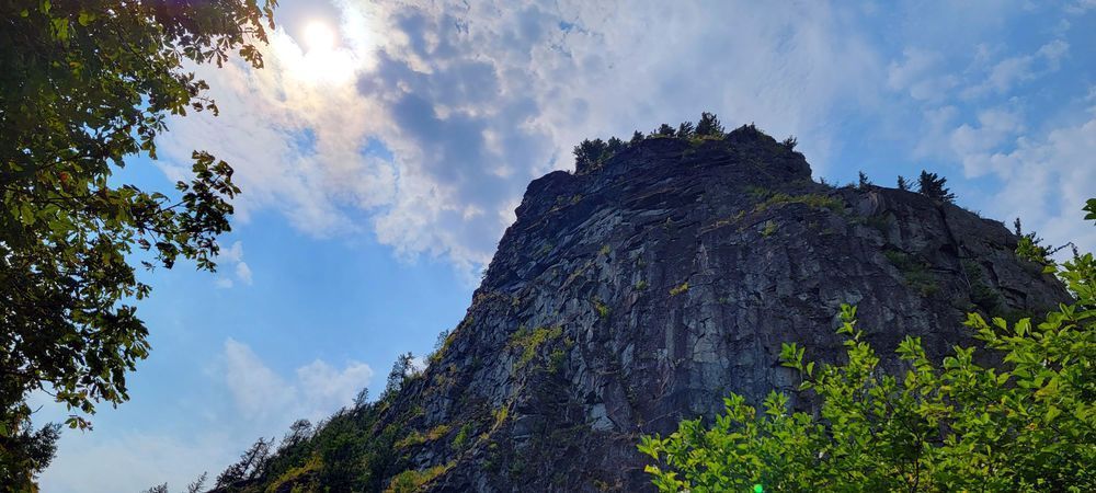 Beacon Rock Looking Up Photography Art | InYourBackyard