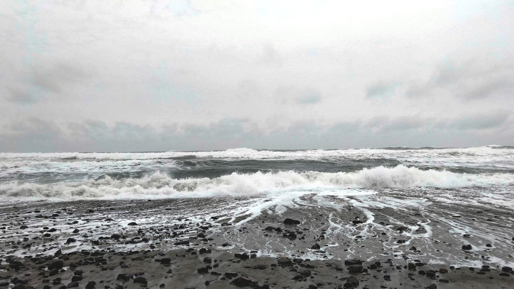Beach Days Photography Art | InYourBackyard