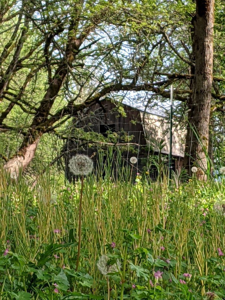 Barn And Wishes Photography Art | InYourBackyard