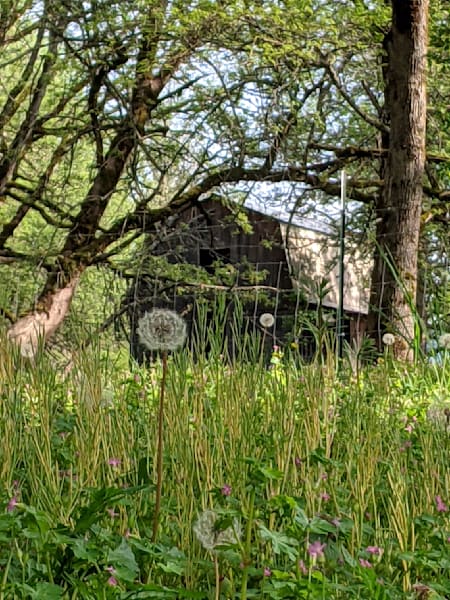 Barn And Wishes Photography Art | InYourBackyard