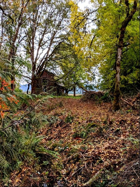 Barn Dickie Prarie Oaks Photography Art | InYourBackyard