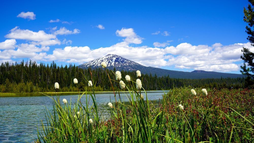 Bachelor At Hosmer Lake Photography Art | InYourBackyard