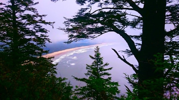 Cape Lookout Trail   Beach View Photography Art | InYourBackyard