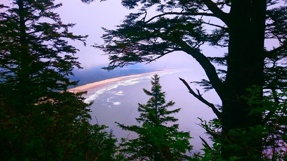 Cape Lookout Trail   Beach View Photography Art | InYourBackyard
