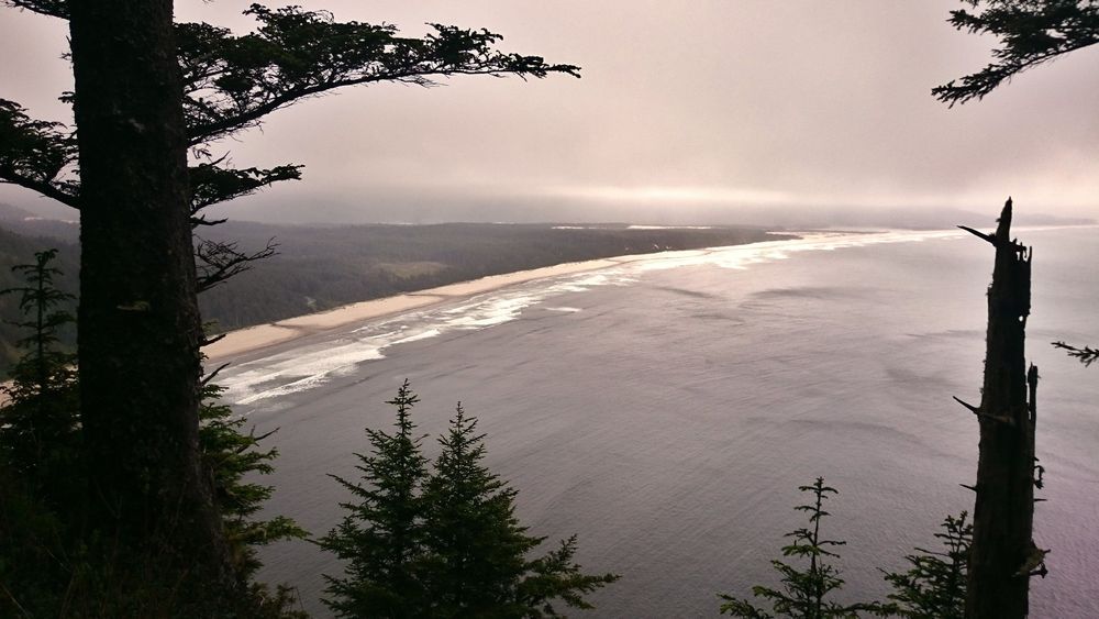 Cape Lookout Trail Beach Shoreline Photography Art | InYourBackyard