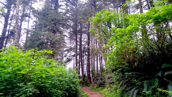 Cape Lookout Trail Photography Art | InYourBackyard