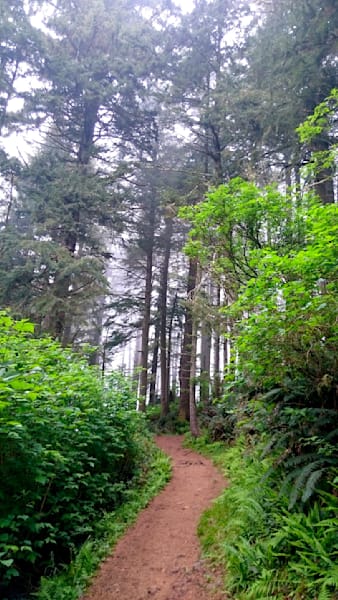 Cape Lookout On The Trail Photography Art | InYourBackyard
