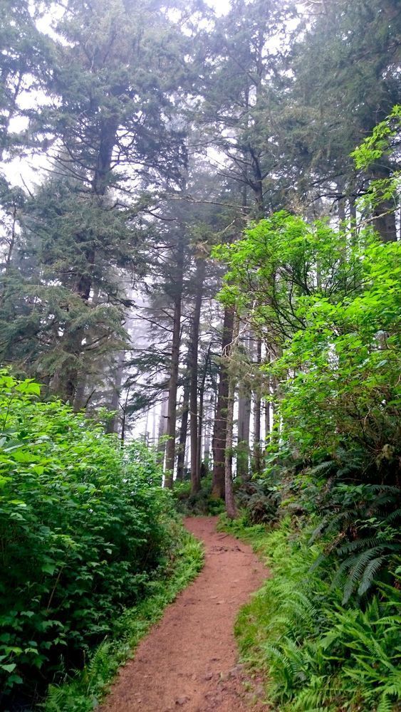 Cape Lookout On The Trail Photography Art | InYourBackyard