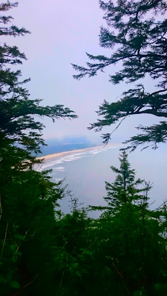 Cape Lookout   Beach Through The Trees Photography Art | InYourBackyard