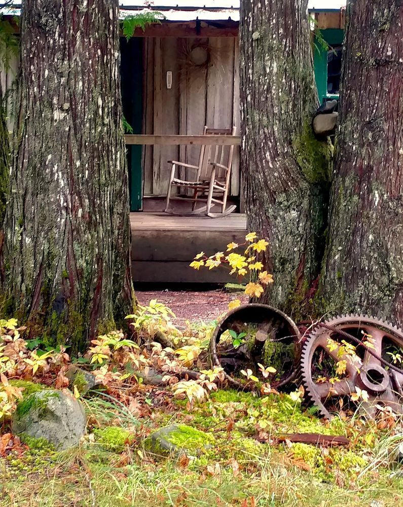 Cabin At Jawbone Photography Art | InYourBackyard