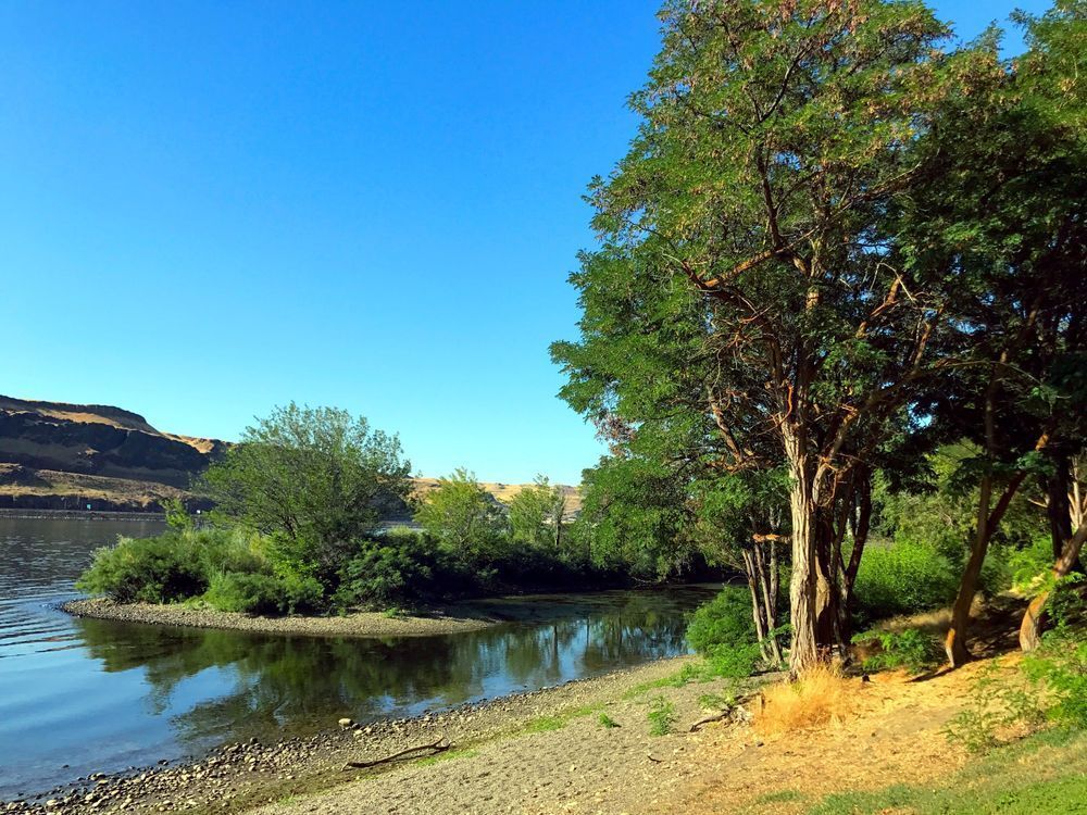 Columbia River Park Photography Art | InYourBackyard