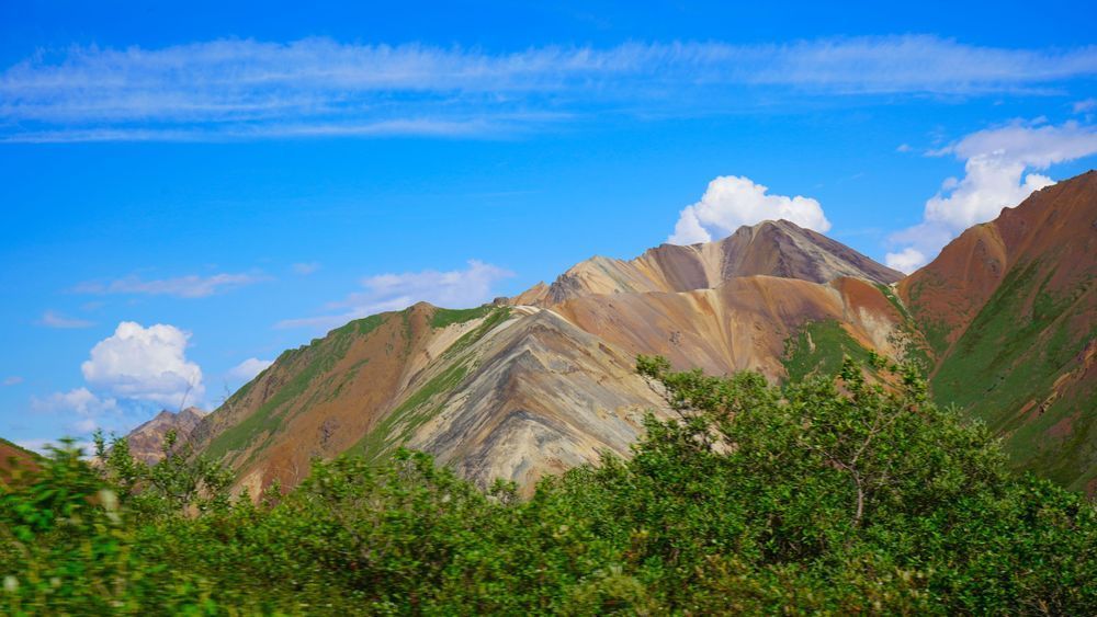 Colorful Alaska Hillside Photography Art | InYourBackyard