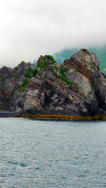 Coastline Fjords In Kenai National Park Photography Art | InYourBackyard