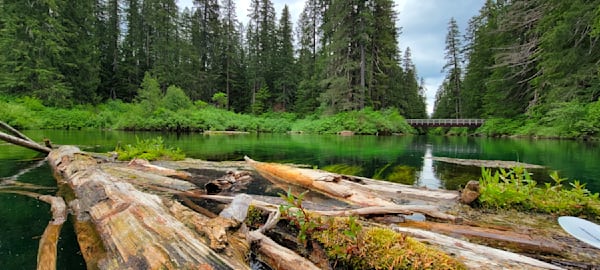 Clear Lake Raw Logs & Bridge Photography Art | InYourBackyard