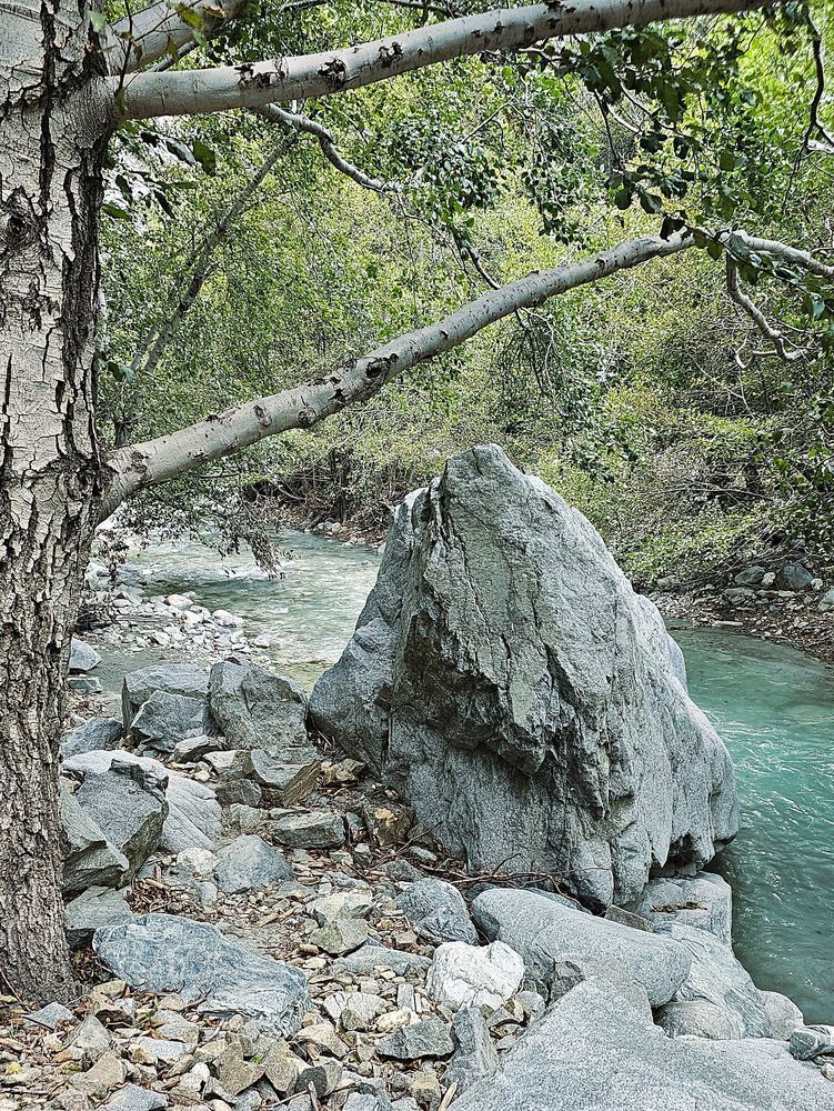 Chillin Along The San Gabriel River Photography Art | InYourBackyard