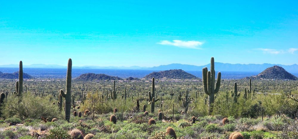 Arizona Desert Landscape Photography Art | InYourBackyard