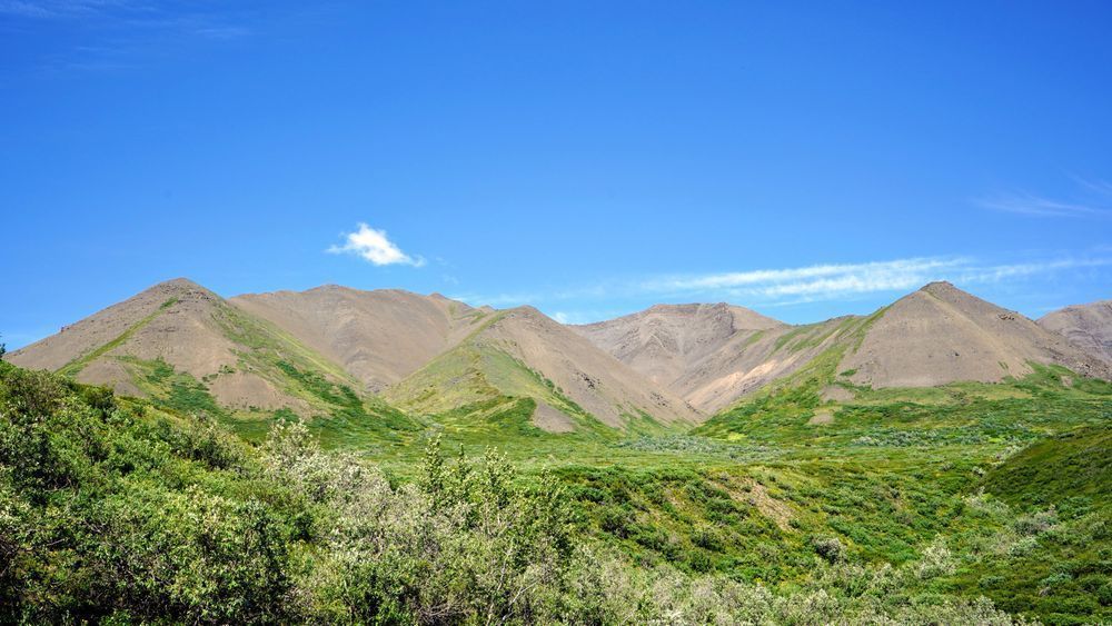 Alaska Hillside View Photography Art | InYourBackyard
