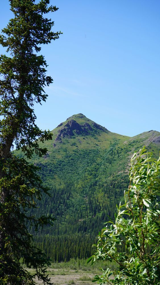 Alaska Tundra Photography Art | InYourBackyard