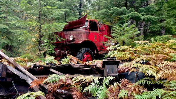 Rustic & Man-Made in Nature