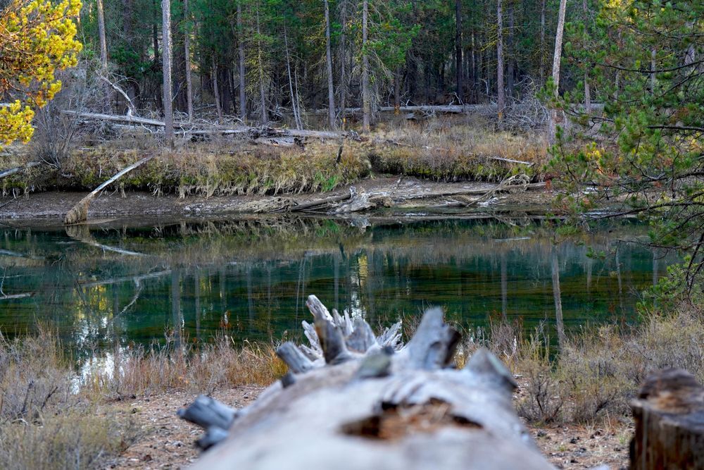 Fall River Deshutes National Forest Photography Art | InYourBackyard