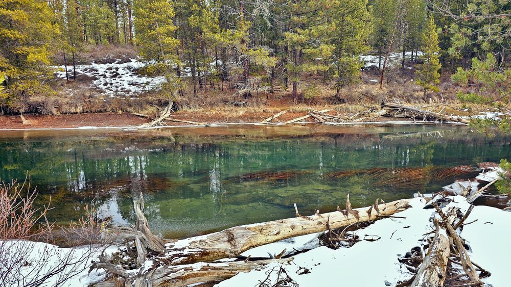 Fall River Desschutes National Forest Photography Art | InYourBackyard