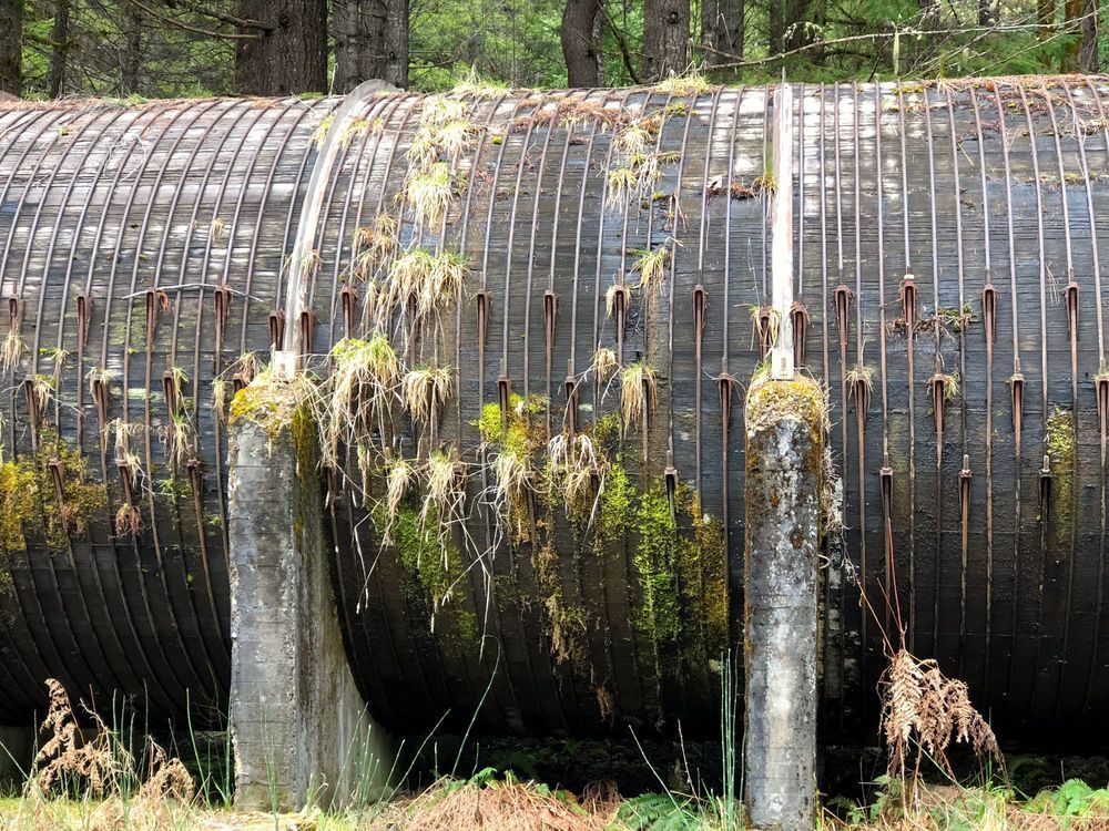 Forest Ag  Toketee Redwood Stave Pipeline Photography Art | InYourBackyard