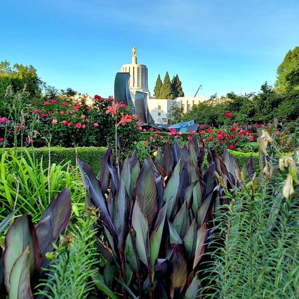 Greenery At The Oregon State Capitol Photography Art | InYourBackyard