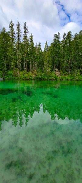 Green Tree Reflections At Clear Lake Photography Art | InYourBackyard