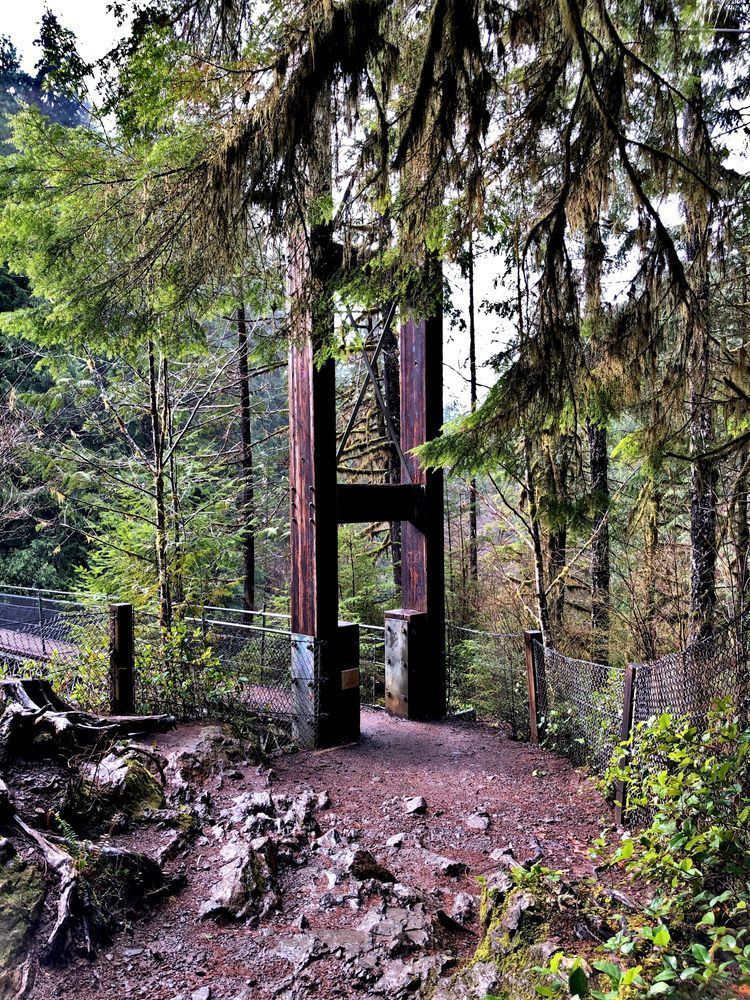 Drift Creek Falls Suspension Bridge Photography Art | InYourBackyard