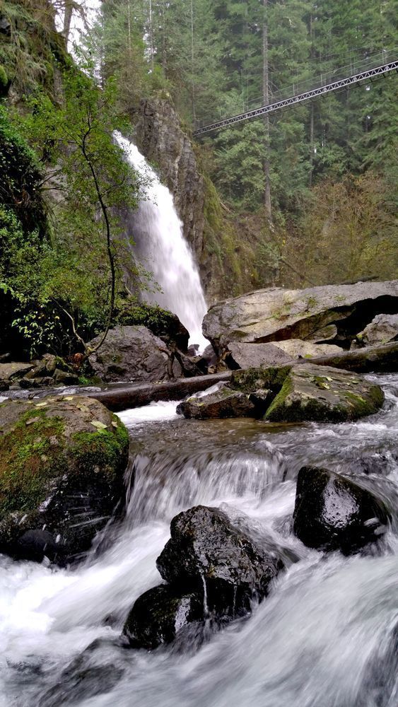Drift Creek And Falls Photography Art | InYourBackyard