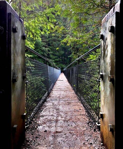 Drift Creek Suspension Bridge Photography Art | InYourBackyard