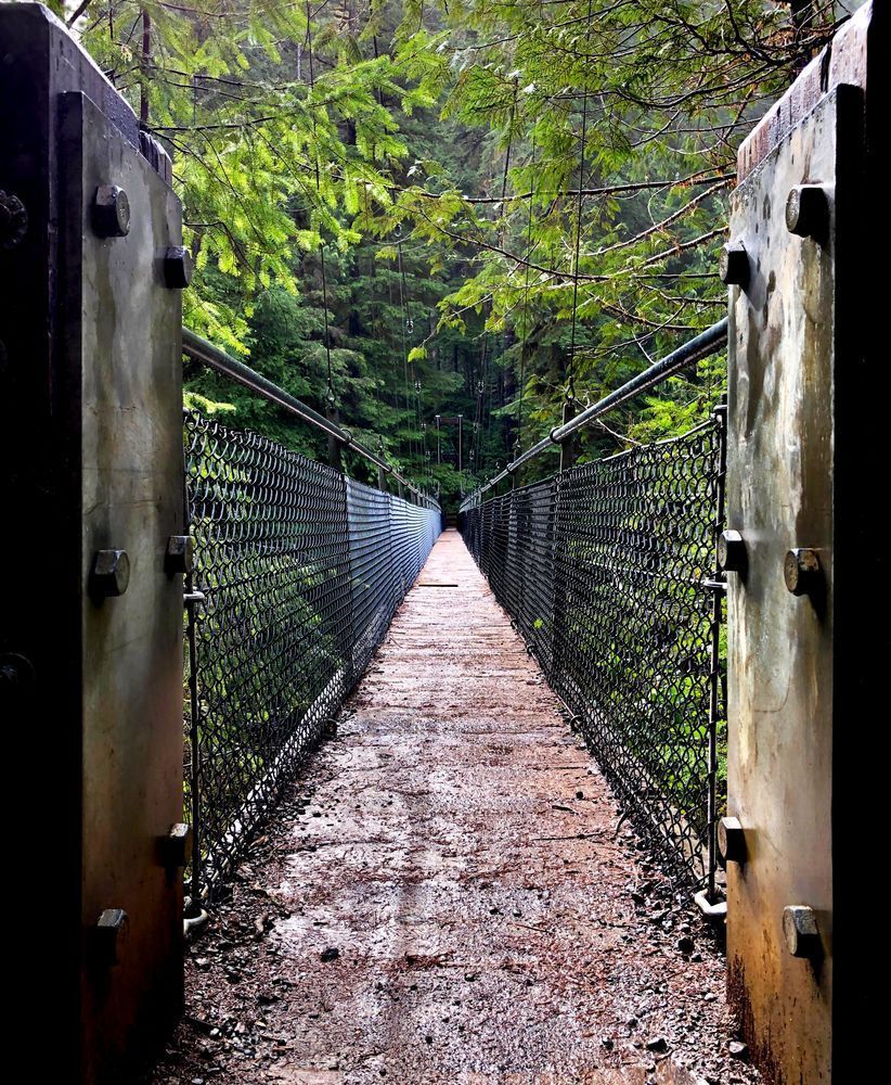 Drift Creek Suspension Bridge Photography Art | InYourBackyard