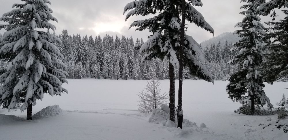 Deschutes National Forest Snow Day Photography Art | InYourBackyard