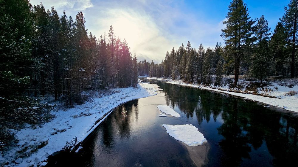 Deschutes River Forest Reflections Photography Art | InYourBackyard