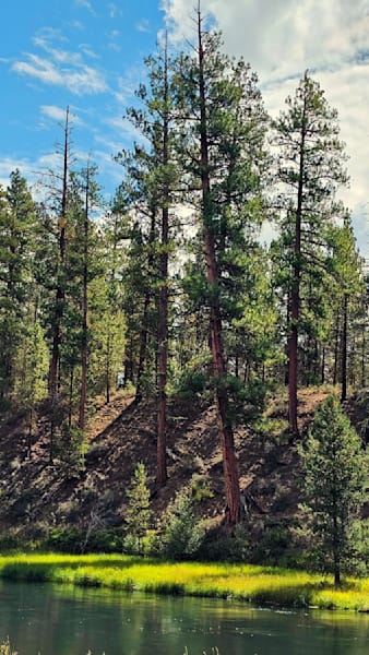 Deschutes River Bank Photography Art | InYourBackyard