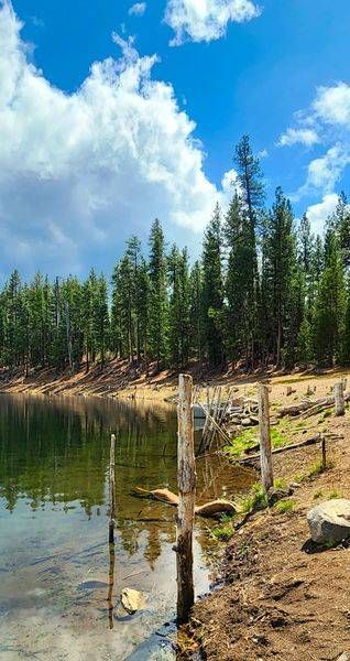Deschutes River Bank Scenery Photography Art | InYourBackyard