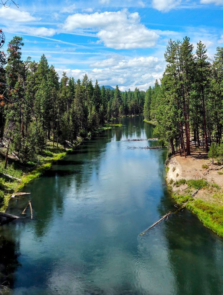 Deschutes River   Deschutes National Forest Photography Art | InYourBackyard